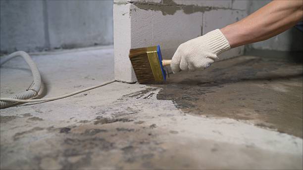 Top rated local Basement Waterproofing specialists in Rheems, PA